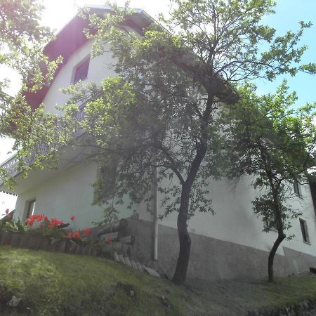 Pr' Hribar Daire Zgornje Gorje Dış mekan fotoğraf