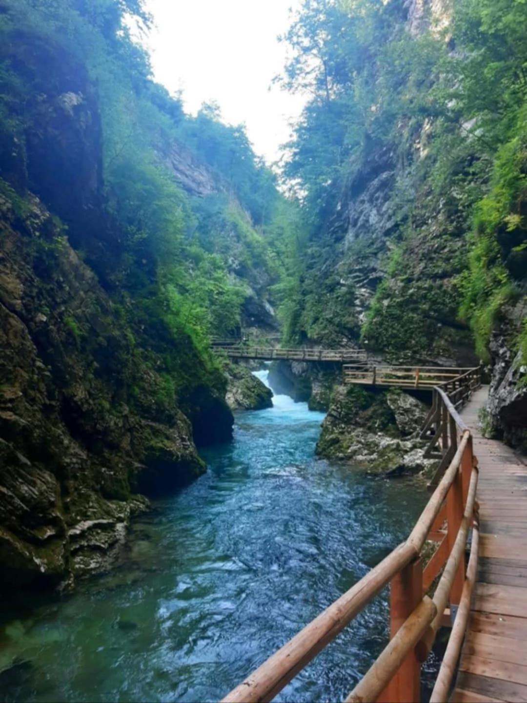 Pr' Hribar Daire Zgornje Gorje Dış mekan fotoğraf