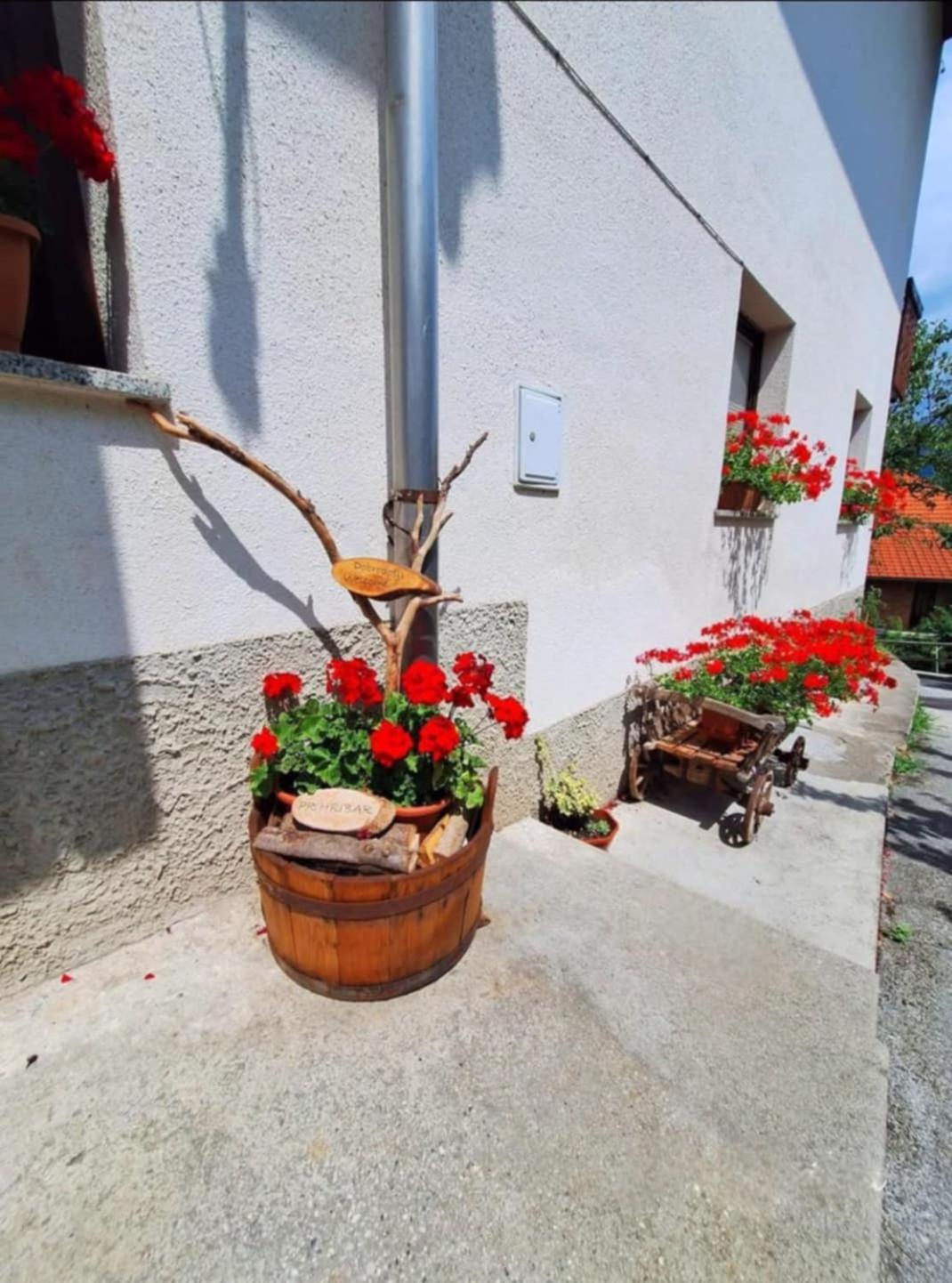 Pr' Hribar Daire Zgornje Gorje Dış mekan fotoğraf