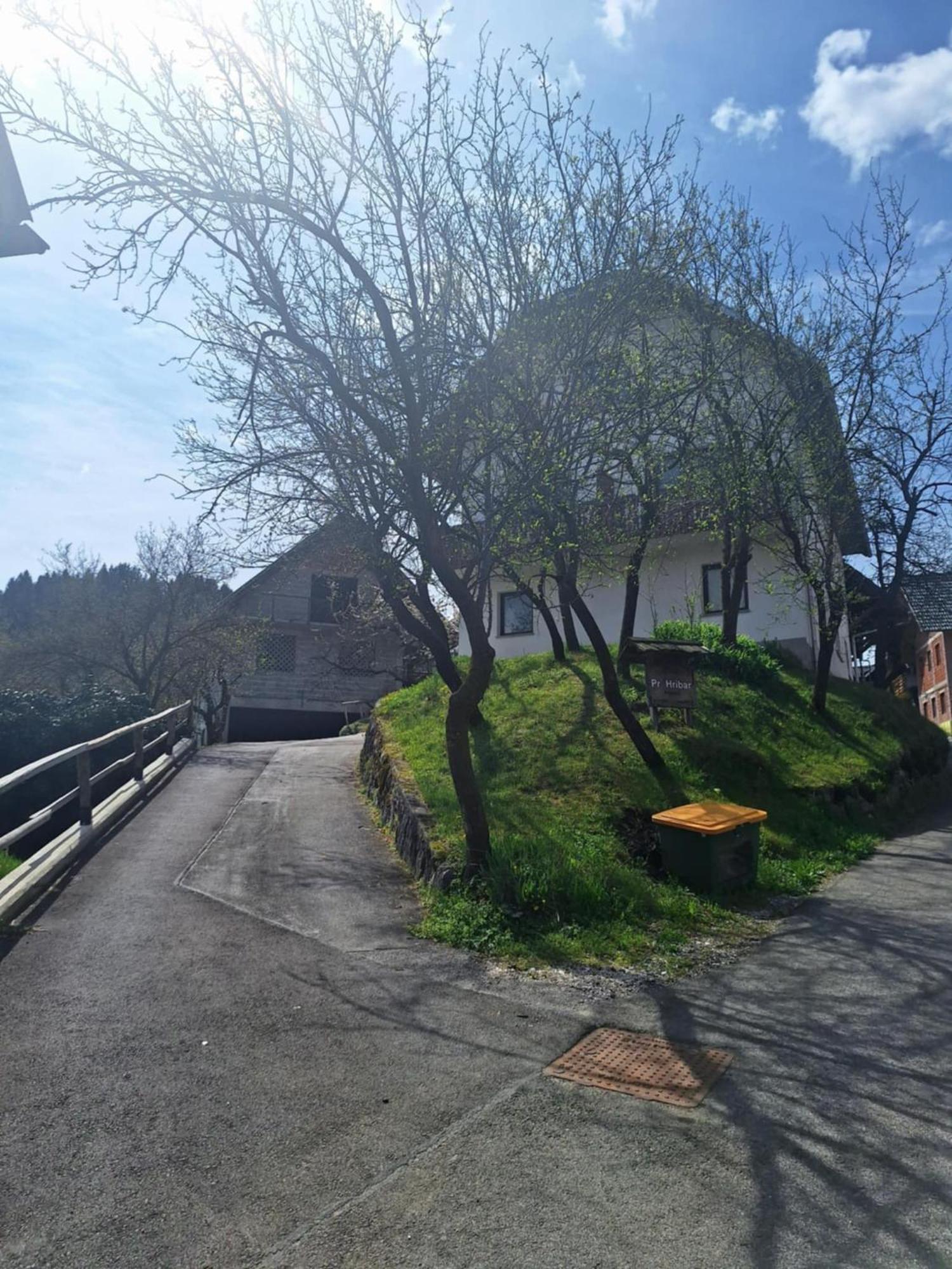 Pr' Hribar Daire Zgornje Gorje Dış mekan fotoğraf